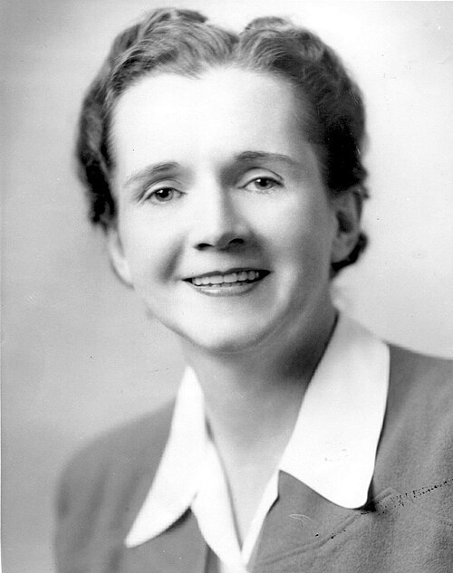 Portrait of Rachel Carson, 1943.